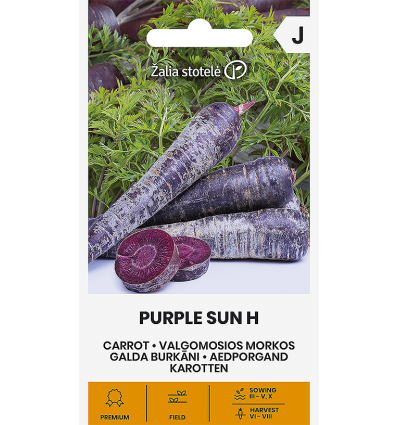 MORKOS VALGOMOSIOS PURPLE SUN H