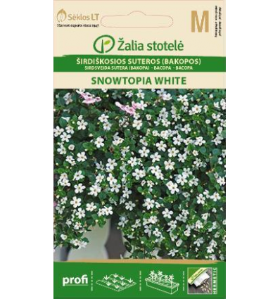 ŠIRDIŠKOSIOS SUTEROS BAKOPOS SNOWTOPIA WHITE