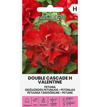 PETUNIJOS DIDŽIAŽIEDĖS DOUBLE CASCADE H VALENTINE