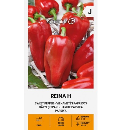 PAPRIKA VIENAMETĖ REINA H