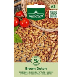 PUPELĖS DARŽINĖS AIŽOMOSIOS BROWN DUTCH