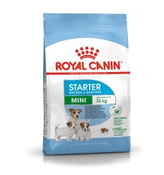 ROYAL CANIN SHN 1,0KG MINI STARTER PUPPY ŠUNIUKAMS