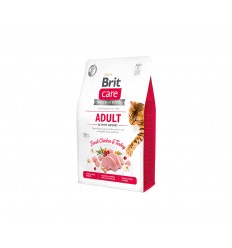 BRIT CARE ACTIVITY SUPPORT 0,4KG KATĖMS